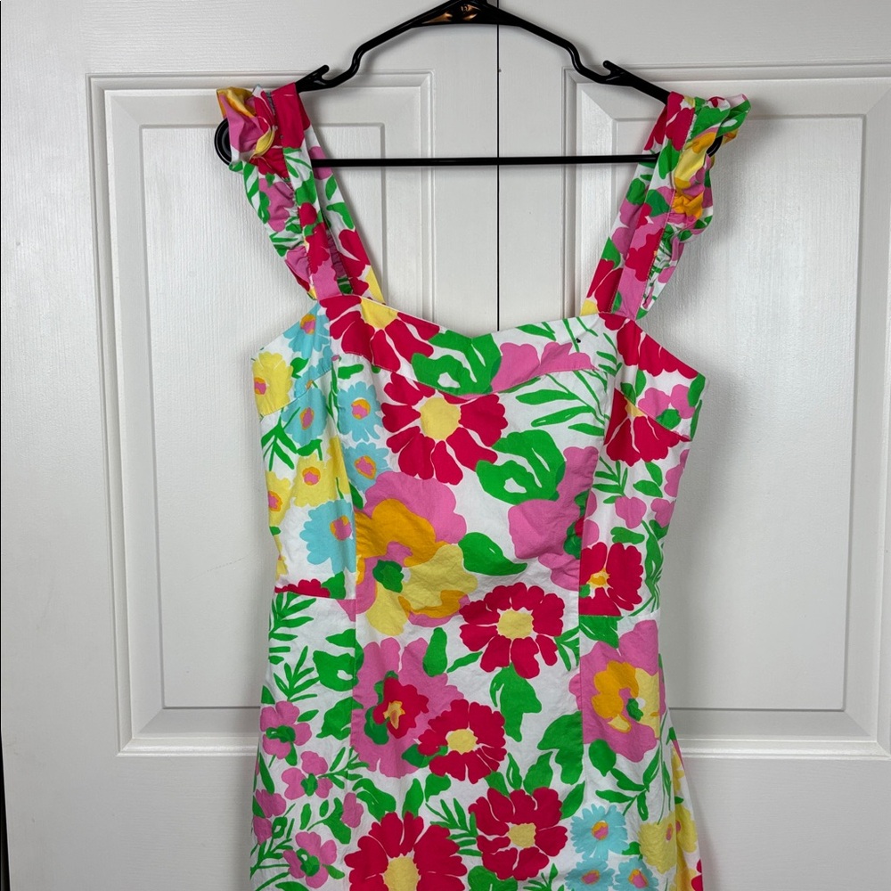 Lilly Pulitzer Floral Ants on Parade Mini Dress with Ruffle Straps - 10 - Picture 2 of 12